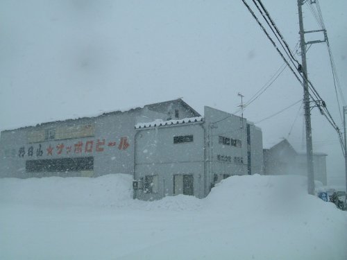 今年も大雪