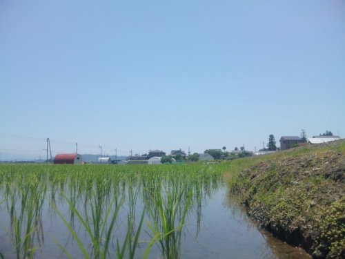 梅雨前の1日