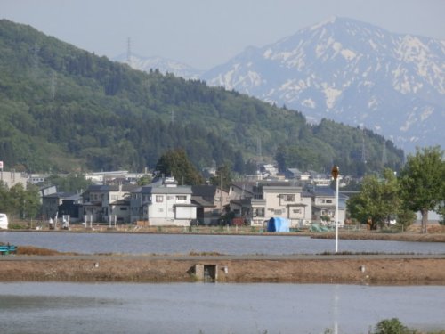 田んぼが水鏡のようです＾＾