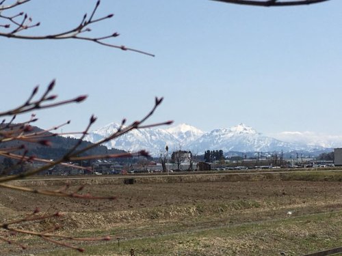 天気が良いですね♪