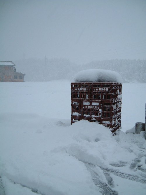 大雪になりました。