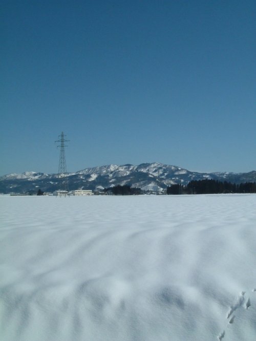 大雪も一息