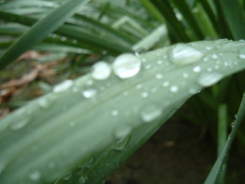 梅雨入り