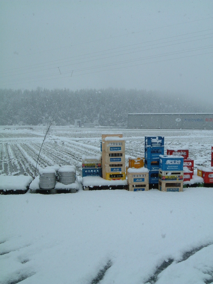 画像: 初雪