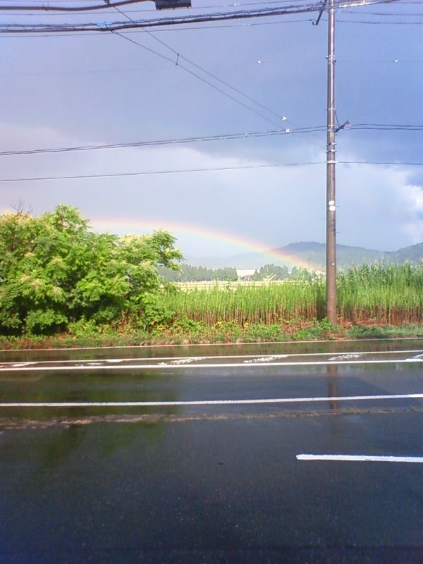 画像: 虹が出ました！