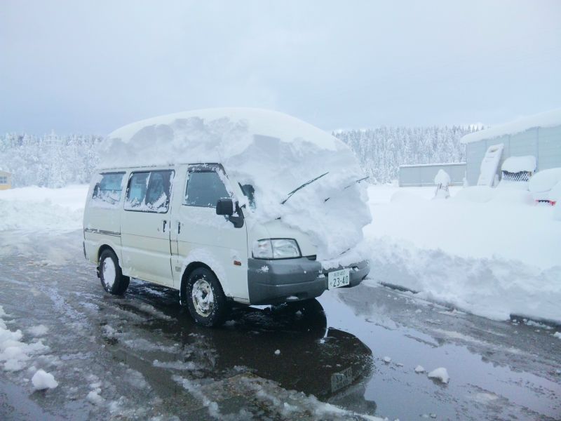 画像: 本格的な雪