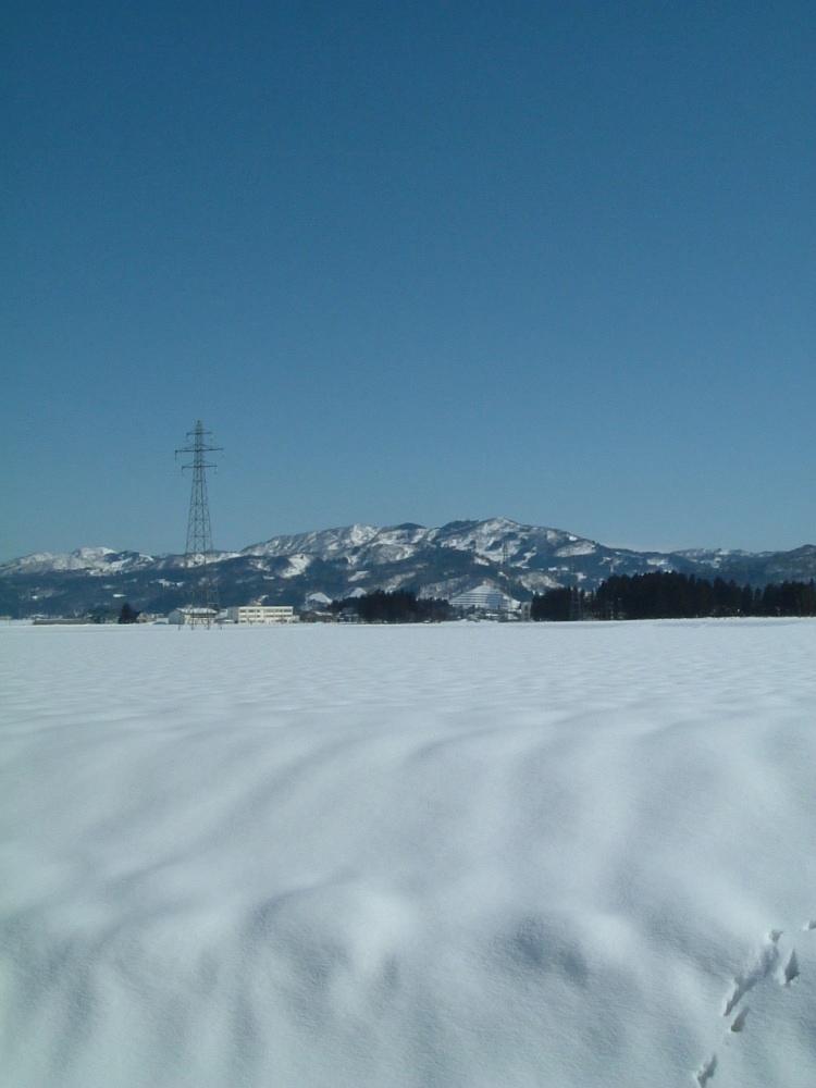 画像: 大雪も一息