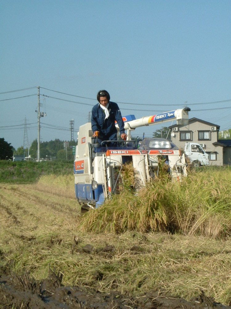 画像: 稲刈りが始まりました。