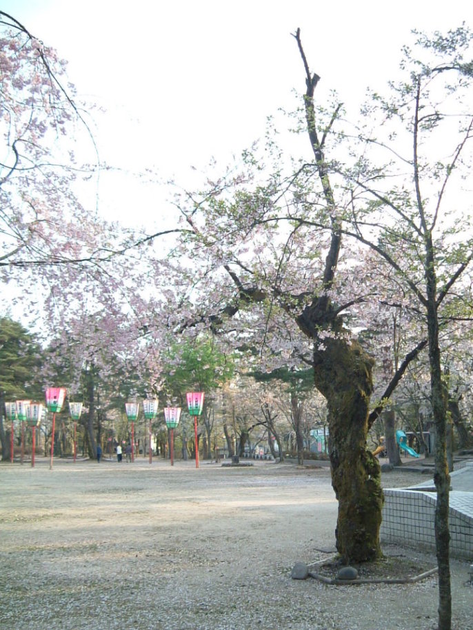 画像: 船岡公園